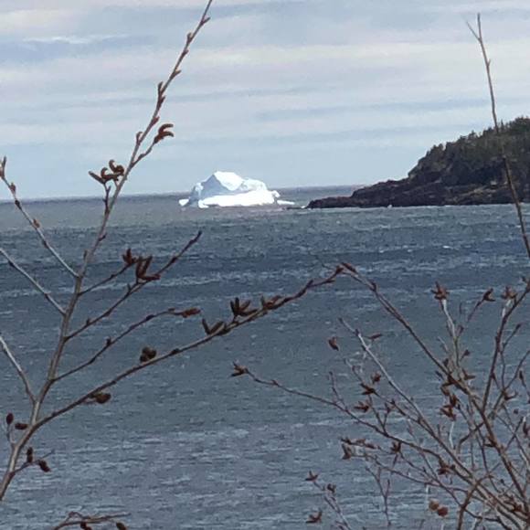 Meet your Posher, Robert - Picture 1 of 1